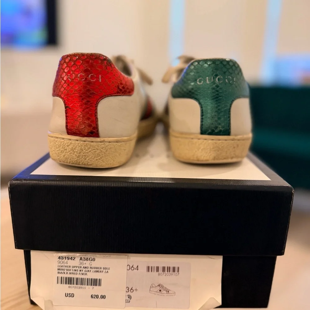 White Leather Sneaker with Red & Green Stripe and Embroidered Bee - Picture 6 of 6